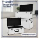 Trucky Allzweckkiste Aluminium 3er Set Boxen Silber Bild 1