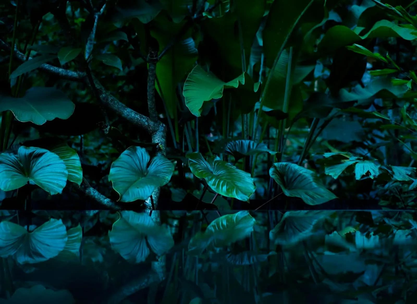 Fototapete LIVING WALLS Tropical Leafs Vlies - Tropisch Bunt