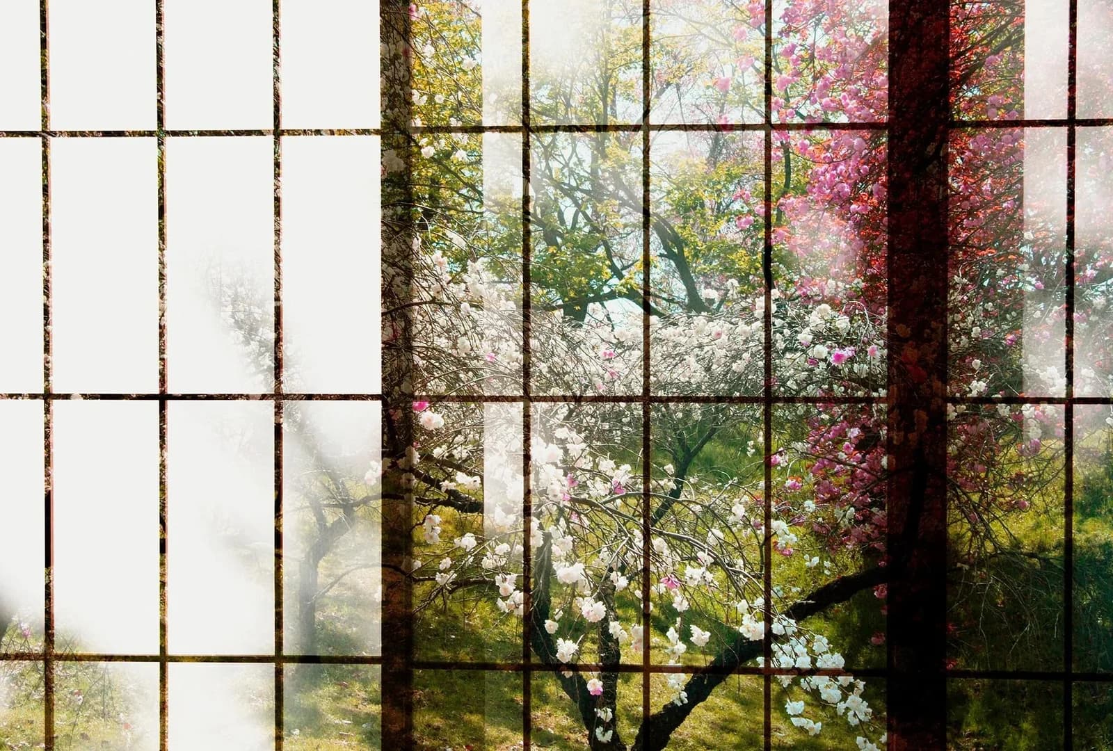 Livingwalls Fototapete Patel Orchard 1 Grün Vlies 4x2,7m