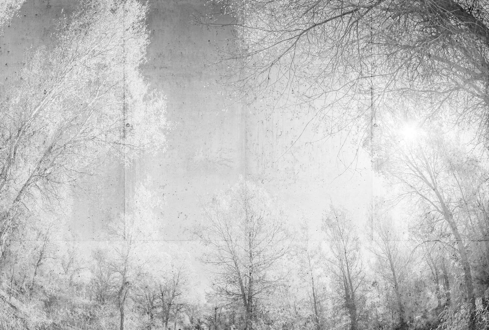 ARCHITECTS PAPER Fototapete Forest Glade 1 Vlies Grau/Weiß