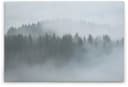 A.S. Création Leinwandbild Misty Forest Grau-Weiß Keilrahmen Bild 1