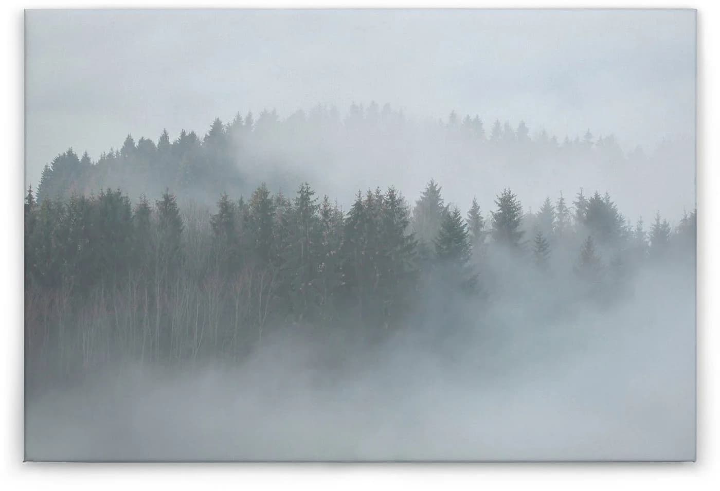 A.S. Création Leinwandbild Misty Forest Grau-Weiß Keilrahmen