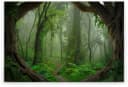 A.S. Création Leinwandbild Tropical Forest Grün Braun Bild 1