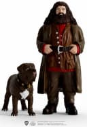 Schleich Harry Potter Hagrid & Fang Spielfigur Bunt Kunststoff Bild 1