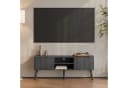 en.casa Lowboard Fernsehtisch Eskilstuna 120x29,5x46,5cm Dunkelgrau Bild 1