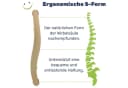 Gravidus Sauna-Rückenlehne 2er Set - Ergonomische S-Form Bild 5