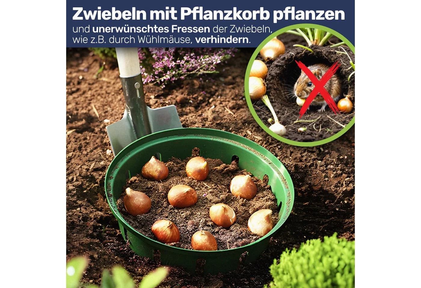 Gravidus Pflanzkorb für Zwiebelpflanzen Grün Ø22 cm - Bild 3