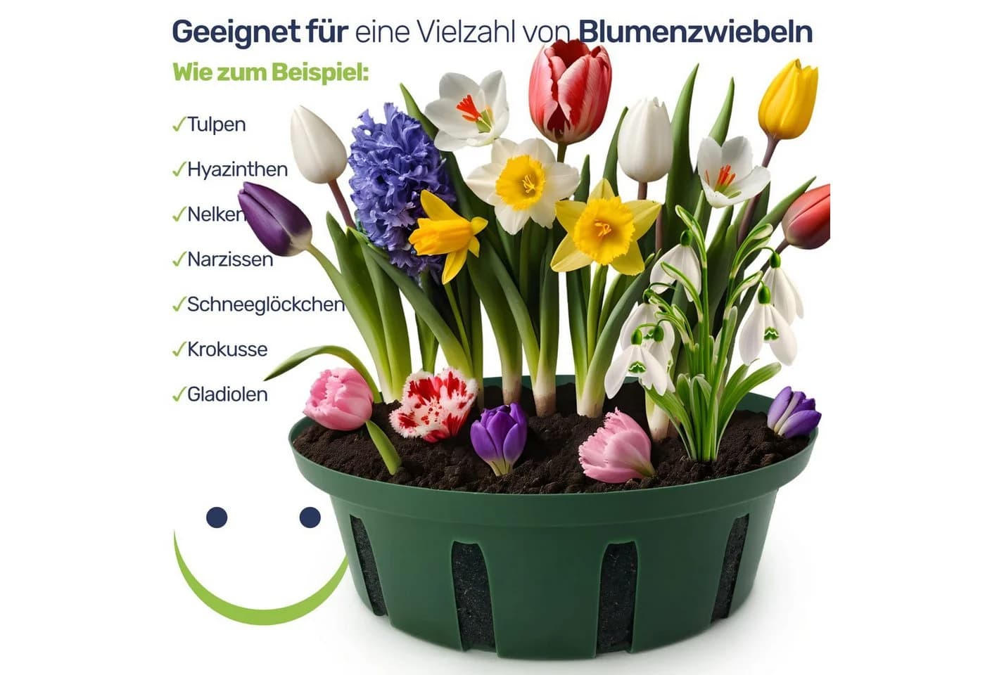 Gravidus Pflanzkorb für Zwiebelpflanzen Grün Ø22 cm - Bild 4