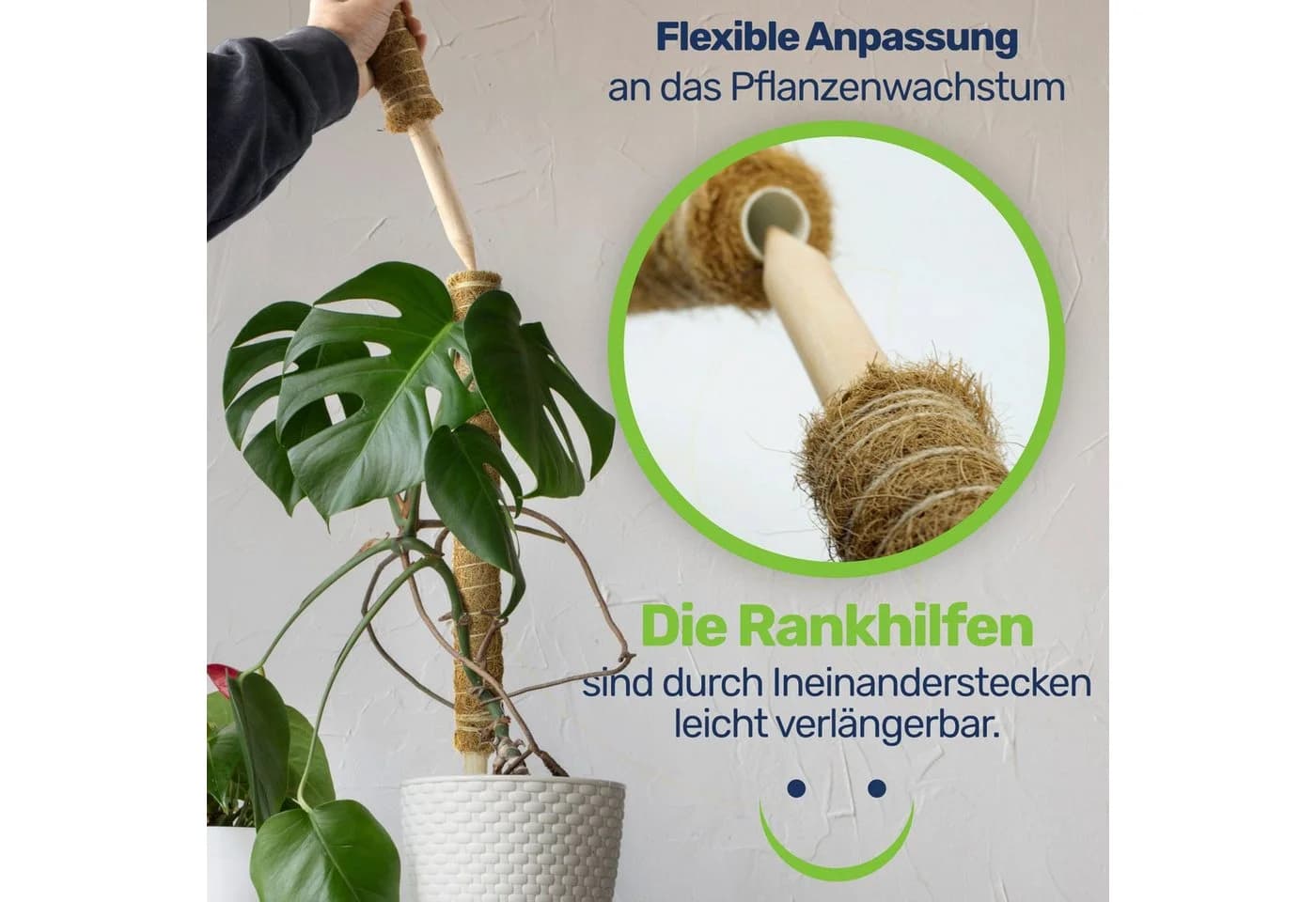 Gravidus Rankhilfe Erweiterbare Pflanzenstütze mit Kokosfilz - Bild 3