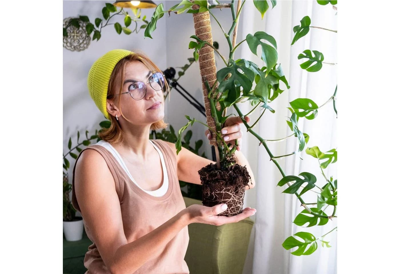 Gravidus Rankhilfe Erweiterbare Pflanzenstütze mit Kokosfilz - Bild 4