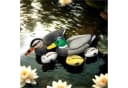Gravidus Schwimmenten-Set 5-teilig Bunt Kunststoff Teichdeko Bild 2