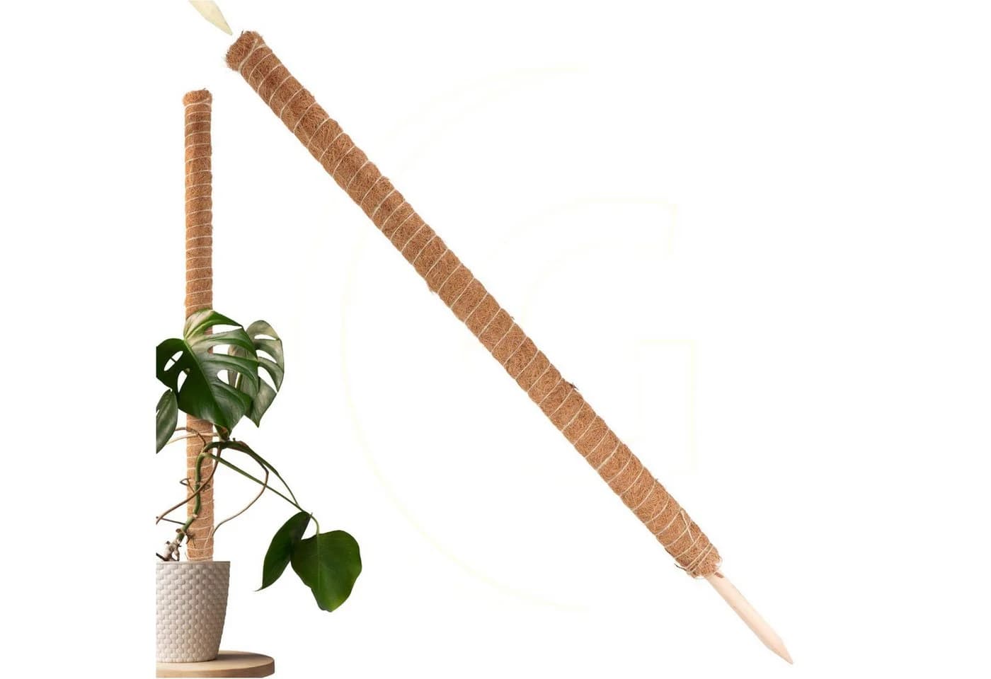 Gravidus Erweiterbare Rankhilfe 110 cm mit Kokosfilz Braun - Bild 2
