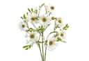 Künstliche Margerite 3er Set 45cm Dekozweig Creme-Weiß naninoa GmbH Bild 2