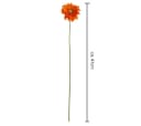 naninoa Künstliche Gerbera 5er Set Orange 47 cm Bild 3