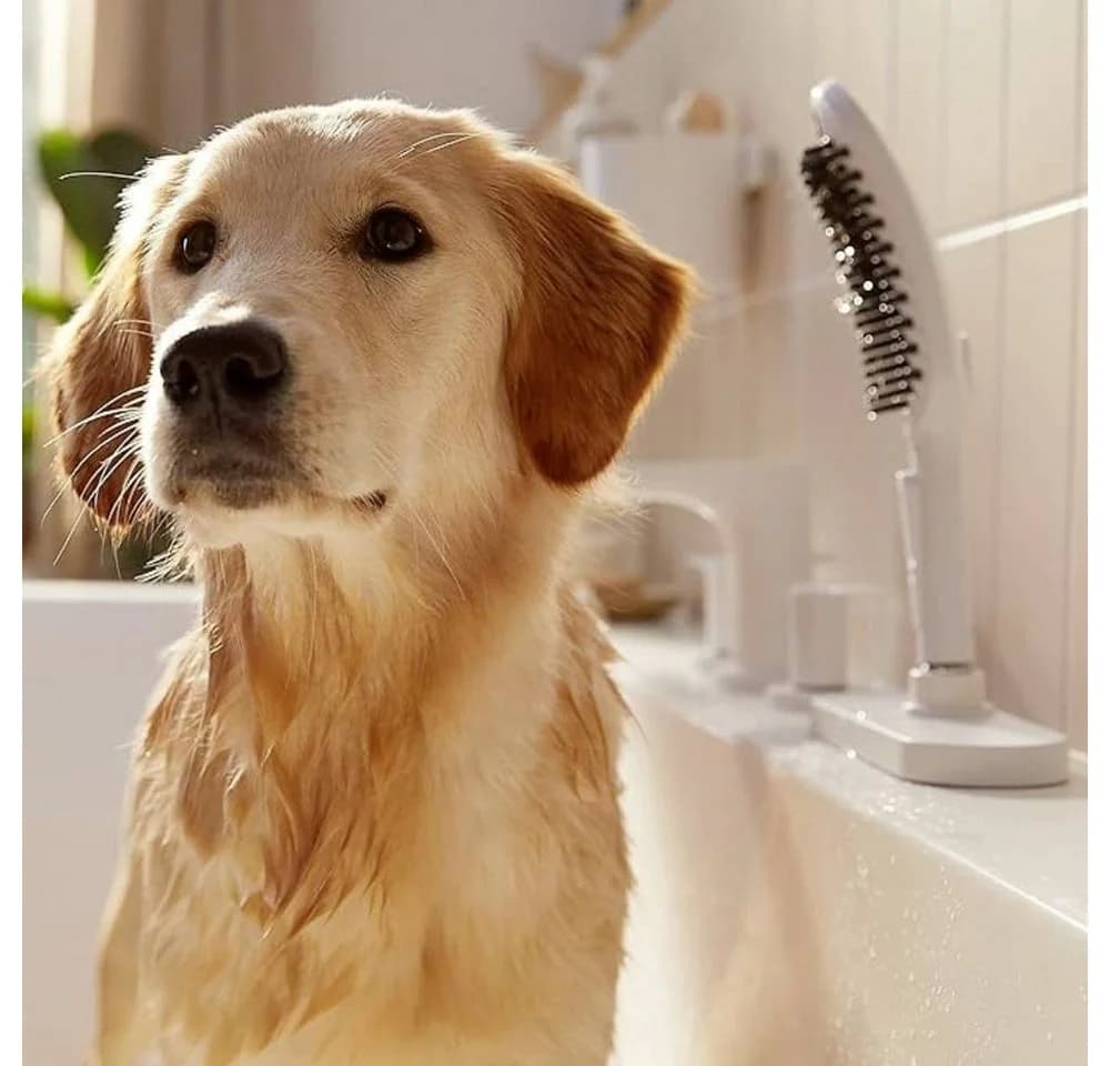 Hansgrohe DogShower Hundeduschbrause mit 3 Strahlarten