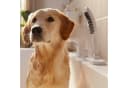 Hansgrohe DogShower Hundeduschbrause mit 3 Strahlarten Bild 2