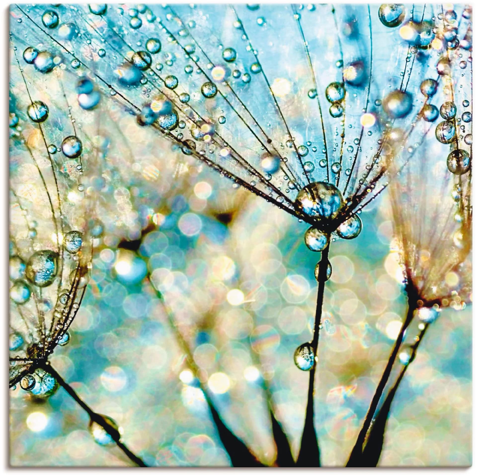 Artland Wandbild Pusteblume Blaue Diamanten Blau Leinwandbild