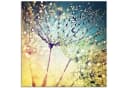 Artland Glasbild Pusteblume Zaubertropfen Bild 2