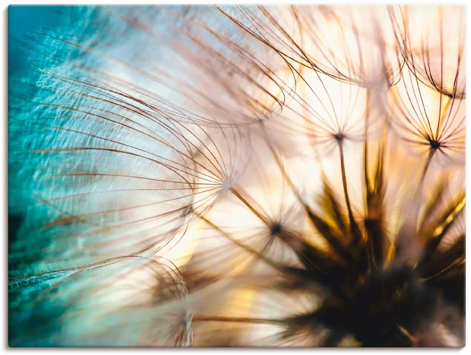 ARTLAND Wandbild Pusteblume Makro abstrakt Leinwand Alu beige 120x90cm