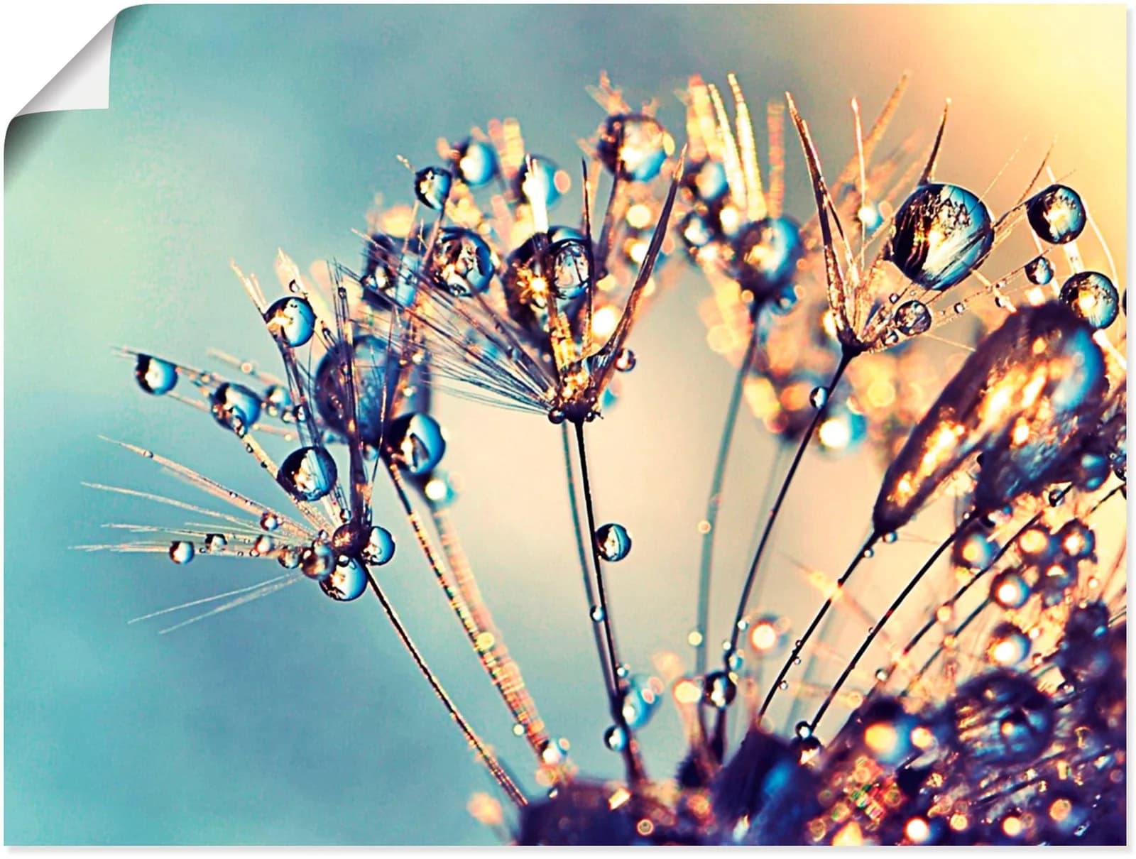 ARTLAND Wandbild Pusteblume Glitzertau Blau 60x45 cm Leinwand Poster