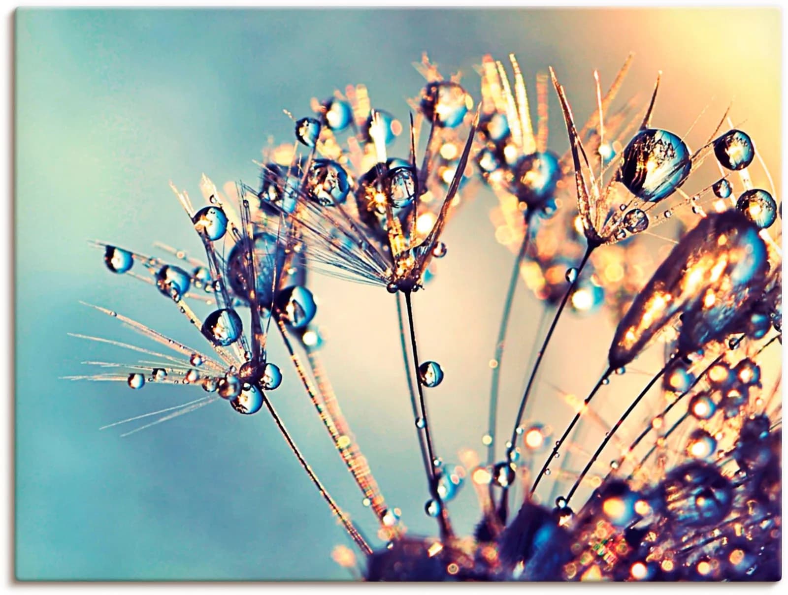 ARTLAND Leinwandbild Pusteblume Glitzertau Blau 120x90 cm