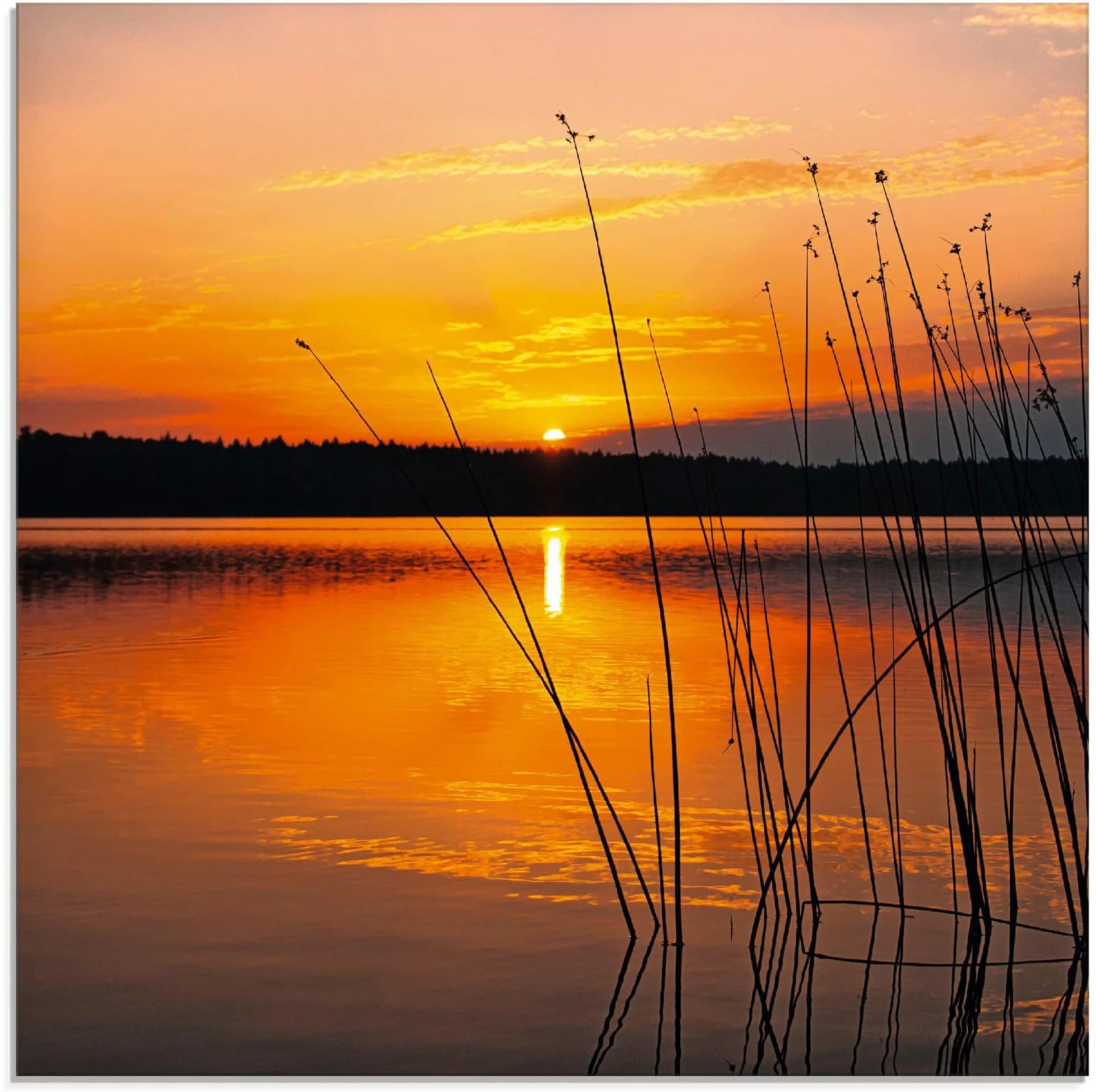 ARTLAND Glasbild Landschaft mit Sonnenaufgang Orange 20x20 cm