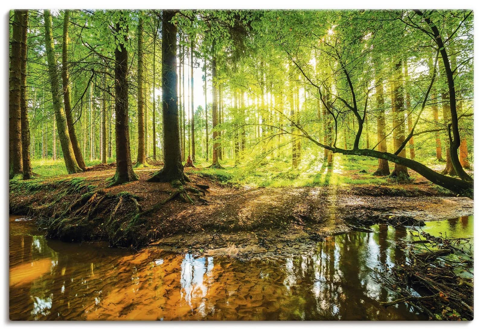 Wandbild Wald mit Bach Grün Leinwandbild ARTland