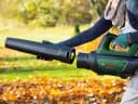 Bosch Home & Garden Akku-Laubbläser AdvancedLeafBlower 36V-750 Schwarz Bild 1
