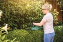 Bosch Home & Garden Akku-Heckenschere EasyHedgeCut 18-45 Grün 45 cm Bild 1