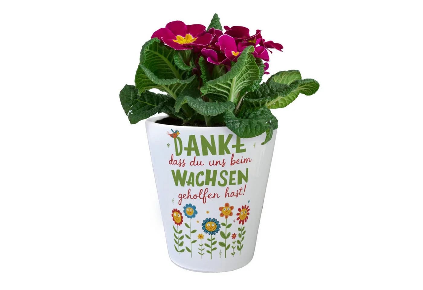 speecheese Blumentopf Dankesbotschaft DANKE Weiß/Grün