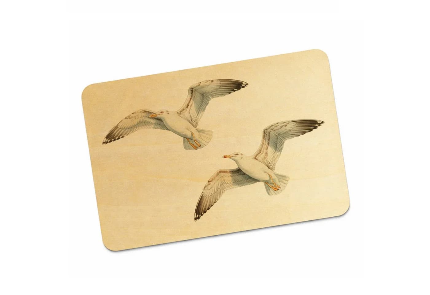 speecheese Holzpostkarte Möwen im Flug Maritim Aquarell - Bild 2