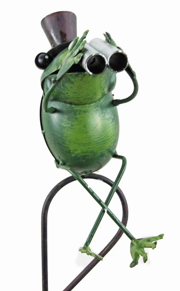Posiwio Regenmesser Frosch Fritz mit Fernglas und Zylinderhut - Bild 2