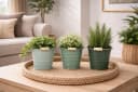 finehomegarden Blumentopf Eimer Metall 3farbig sortiert mit Henkel Bild 3
