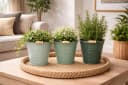 finehomegarden Blumentopf Eimer Metall 3farbig sortiert mit Henkel Bild 4