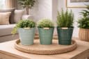 finehomegarden Blumentopf Eimer Metall 3farbig sortiert mit Henkel Bild 5