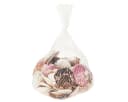 Posiwio Herzmuscheln Bastelnaturmaterial Maritim Deko Bild 3