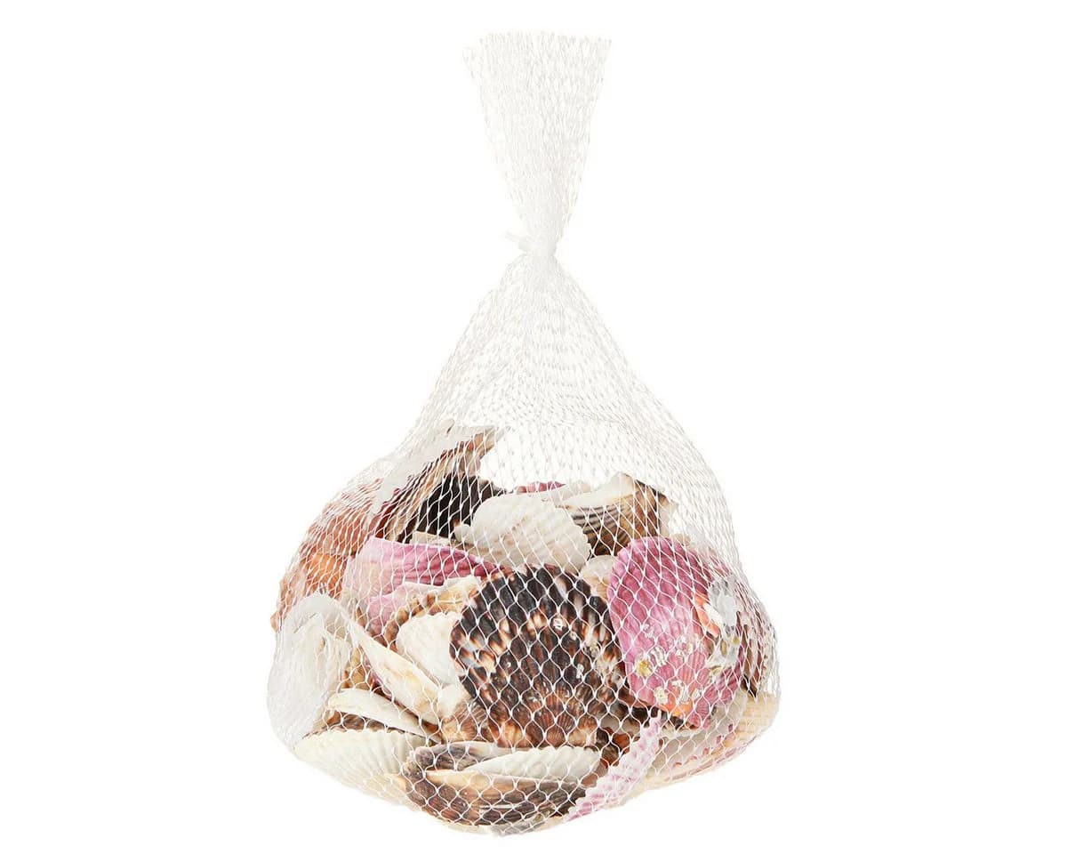Posiwio Herzmuscheln Bastelnaturmaterial Maritim Deko - Bild 3
