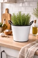 finehomegarden Blumentopf Metall Weiß-Schwarz mit Griffen Bild 4