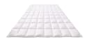 Kauffmann Daunenbettdecke Sommerdaunendecke Superior Light 100% Baumwolle Weiss Bild 1