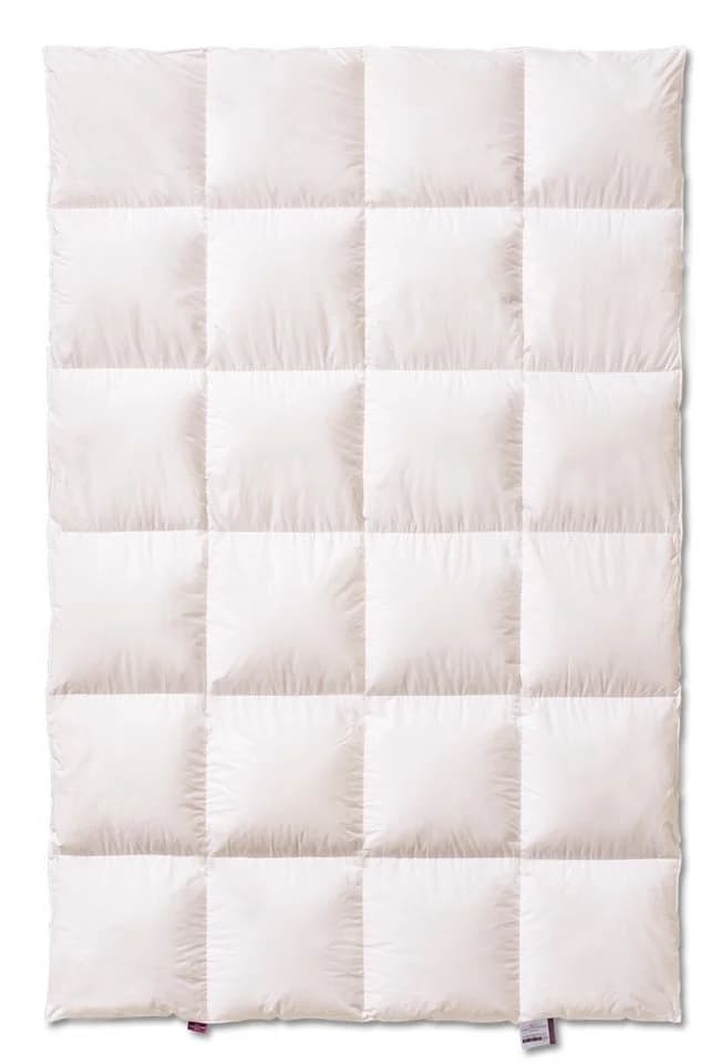 Kauffmann Daunenbettdecke Superior Extra Warm 100% Daunen Baumwolle - Bild 2