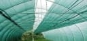 HaGa Schattiernetz 60% UV-stabilisiert Dunkelgrün Bild 1