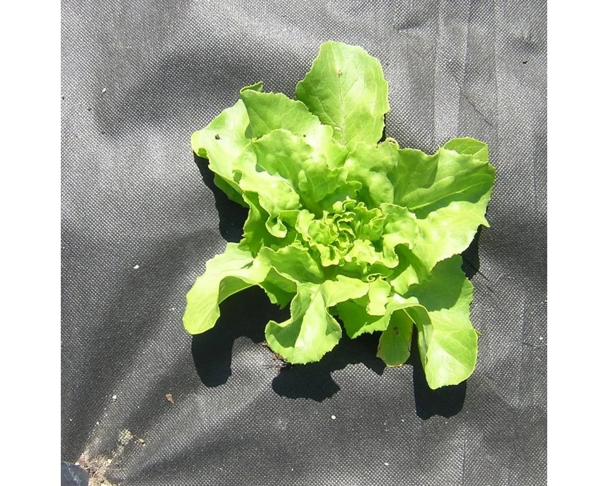 HaGa Unkrautvlies GARTENVLIES 50g/m² 1,2m x 10m UV-stabilisiert - Bild 4
