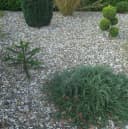 HaGa Unkrautvlies Gartenvlies UV-stabilisiert 50g/m² Bild 1