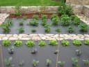 HaGa Unkrautvlies Gartenvlies UV-stabilisiert 50g/m² Bild 4