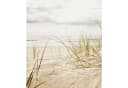 Schulte Duschrückwand Nordsee Düne Alu-Verbund Bild 1