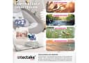 tectake Babyschaukel Dogs mit TrueSpeed-Technologie Grau Bild 4