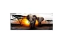 Runa Art XXL-Wandbild Elefant Afrika Sonnenuntergang Savanne Bild 1