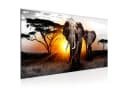 Runa Art XXL-Wandbild Elefant Afrika Sonnenuntergang Savanne Bild 2