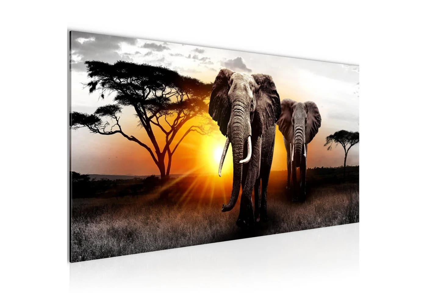 Runa Art XXL-Wandbild Elefant Afrika Sonnenuntergang Savanne - Bild 2