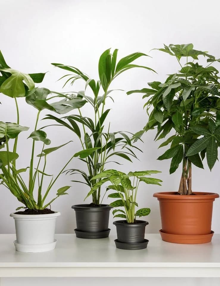 Garronda Blumentopf Set 3er Pack Weiß Kunststoff - Bild 5